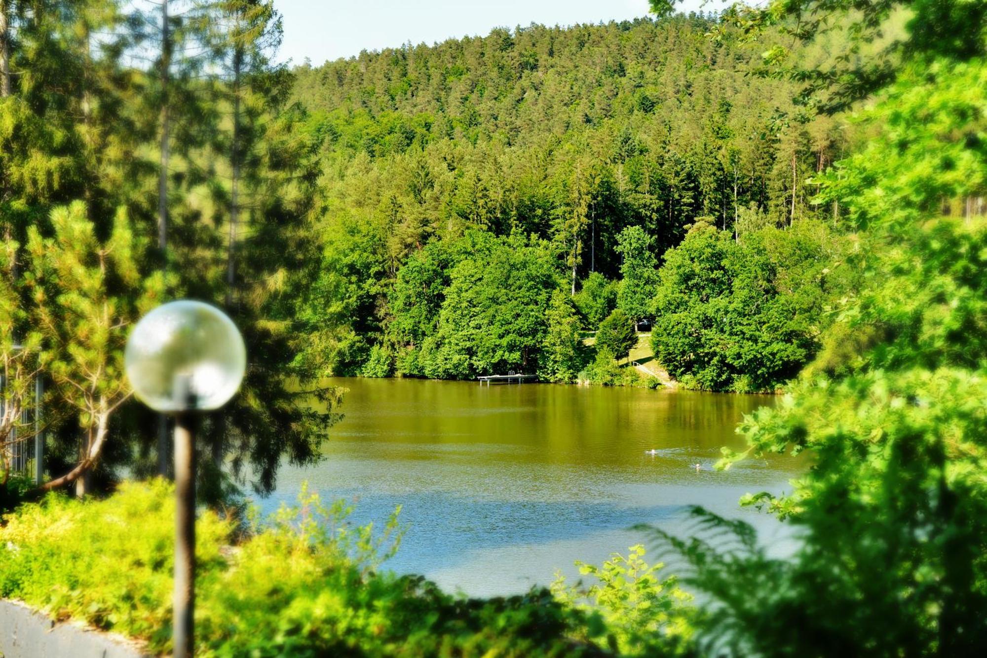 Das Dreiburgensee Naturhotel & Spa Thurmansbang Exterior photo